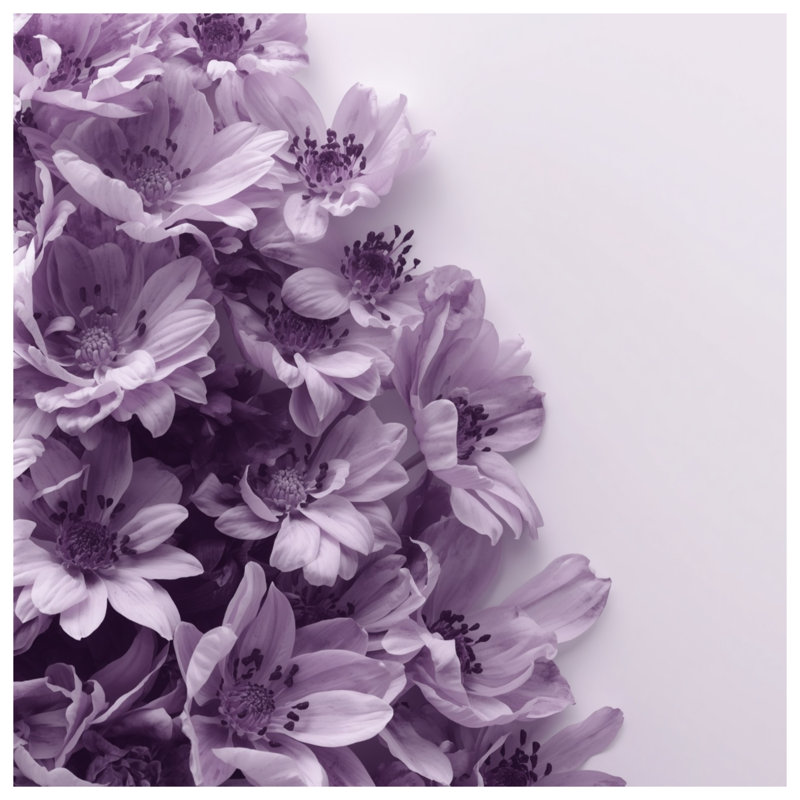 Purple Anemone Flowers Shower Curtains Extra Long, 70in W x 84in H