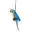 Statue de perroquet Polly au paradis-5821621
