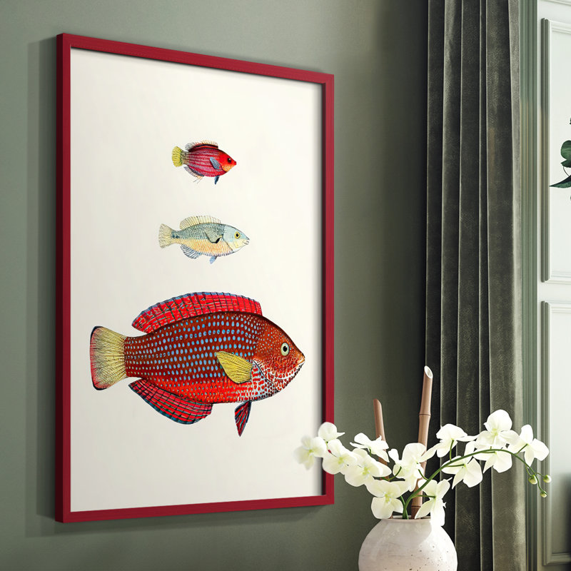 «Colorful Tropical Fish II», reproduction encadrée - bois massif, Encadrement doré, H 28 po x l 22 po