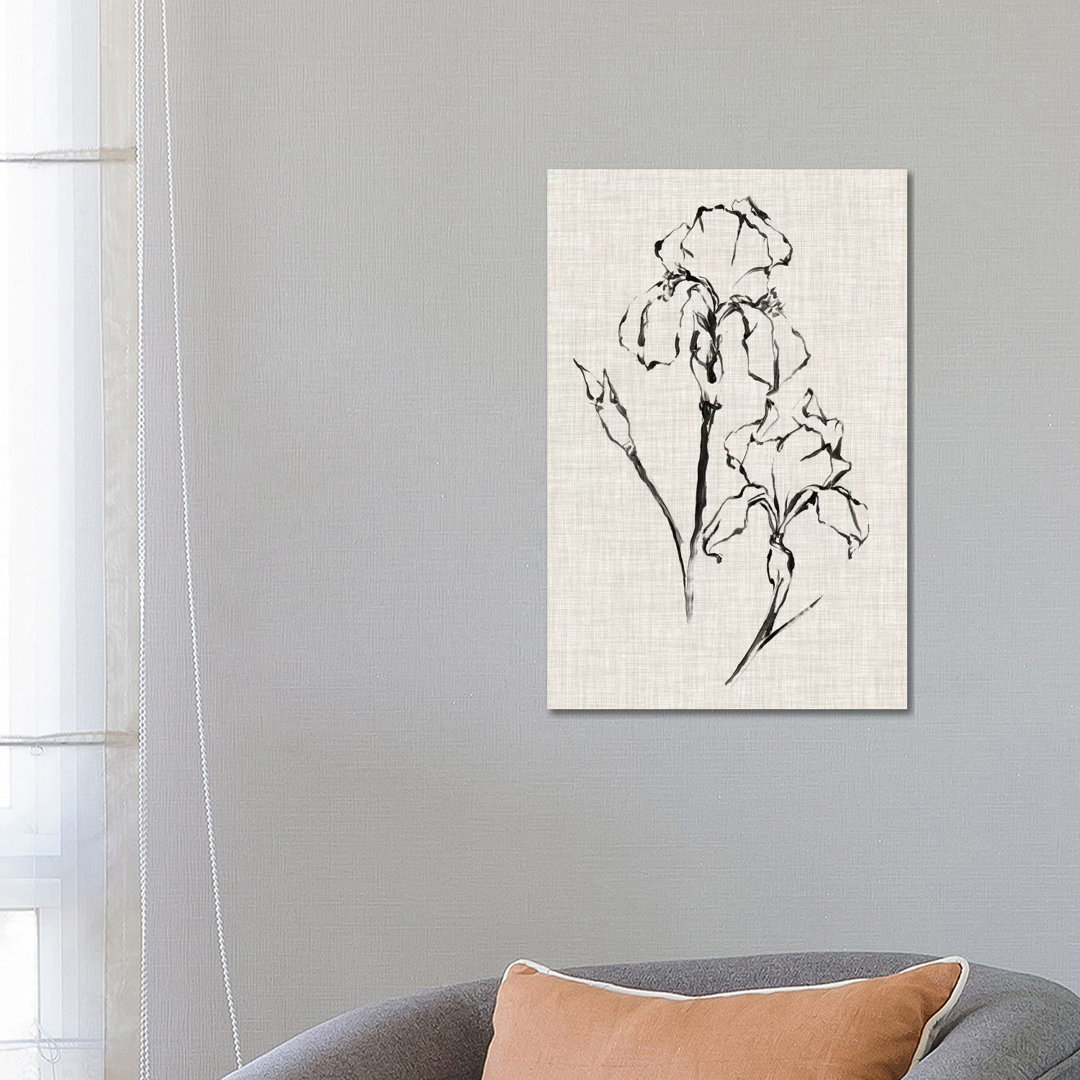 Floral Ink Study II von Ethan Harper - Galerieverpackte Leinwand Giclée auf Leinwand