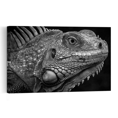 Intense Iguana Gaze Dramatic Contemporary Lizard Nature Portrait Wall Art Print 1 Piece Wrapped Canvas Wall Art
