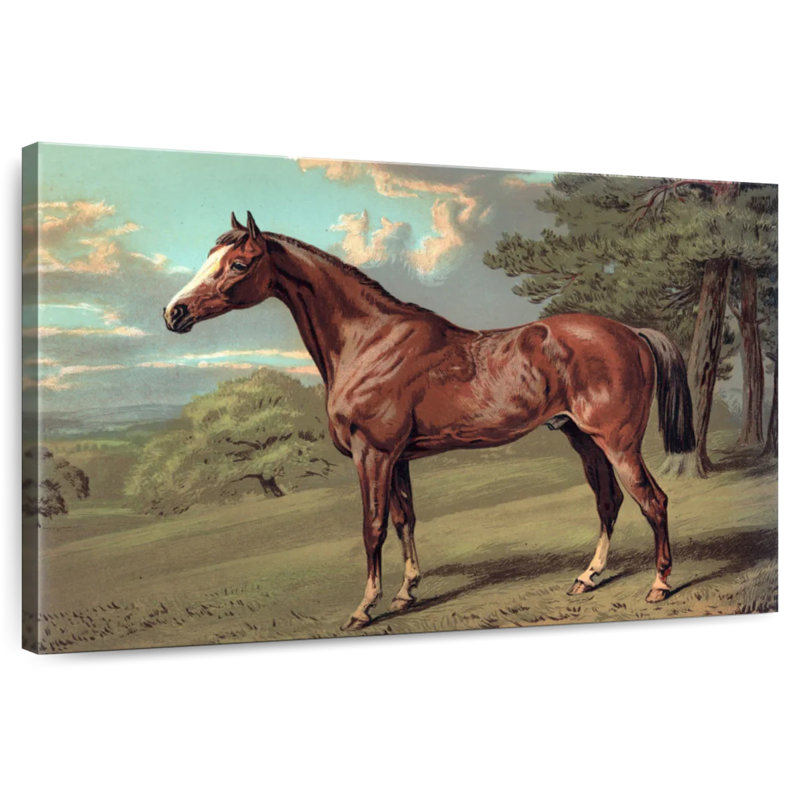 Cheval sauvage rétro, H 32 po x l 48 po