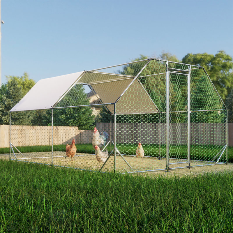 Poulailler en métal galvanisé de qualité supérieure pour un poulailler sûr et confortable, durable et résistant aux intempéries
