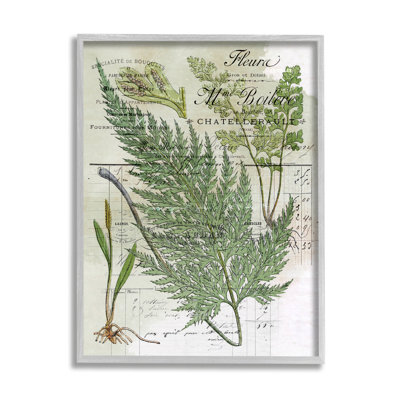 «Vintage Fern Nature Study» par Lil 'Rue - cadre flottant, impression sur bois