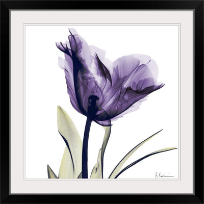 Manigault 'Purple Flower by Kiranjit Photographic Print