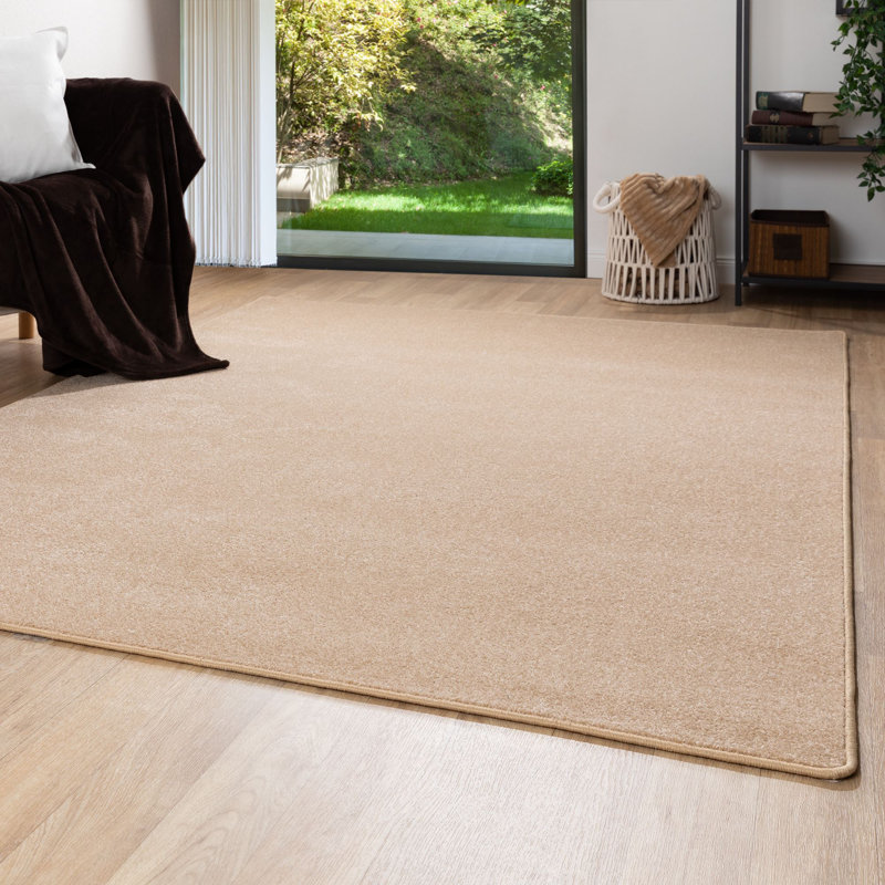 Calipatria Solid Colour Area Rug, Rectangular 60 x 120cm