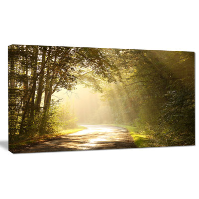 «Bright Sunlight in Fall Forest», reproduction de photo sur toile tendue