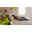 Base de lit tapissier en bois massif Bethelmie-107443382-118194041