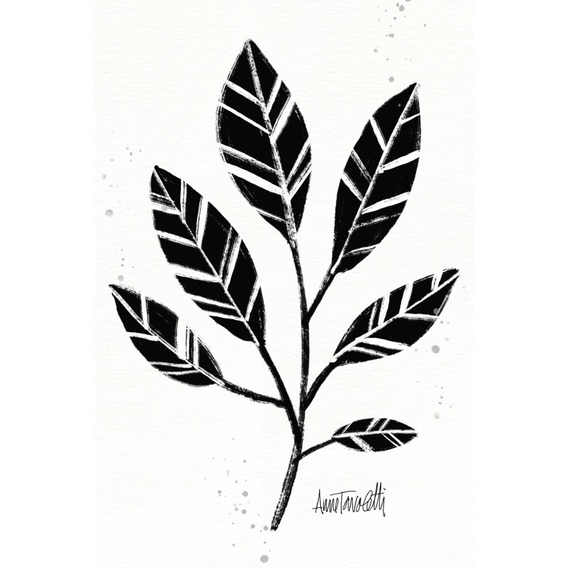 Botanical Sketches III 1 Piece Wrapped Canvas Painting, 30cm H x 20cm W
