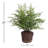 Queensland 23" Faux Maidenhair Fern with Root Ball
