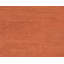 Sprouts Wool Area Rug in Orange-40705247
