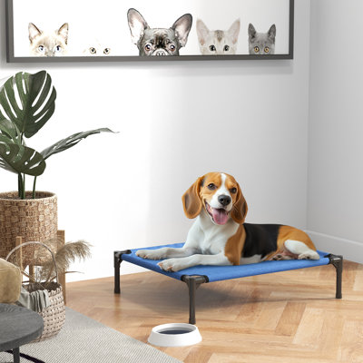 Minerville Raised Dog Bed with Metal Frame