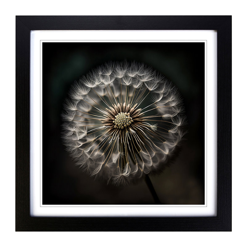 Dandelion Photograph - Framed Print, Black