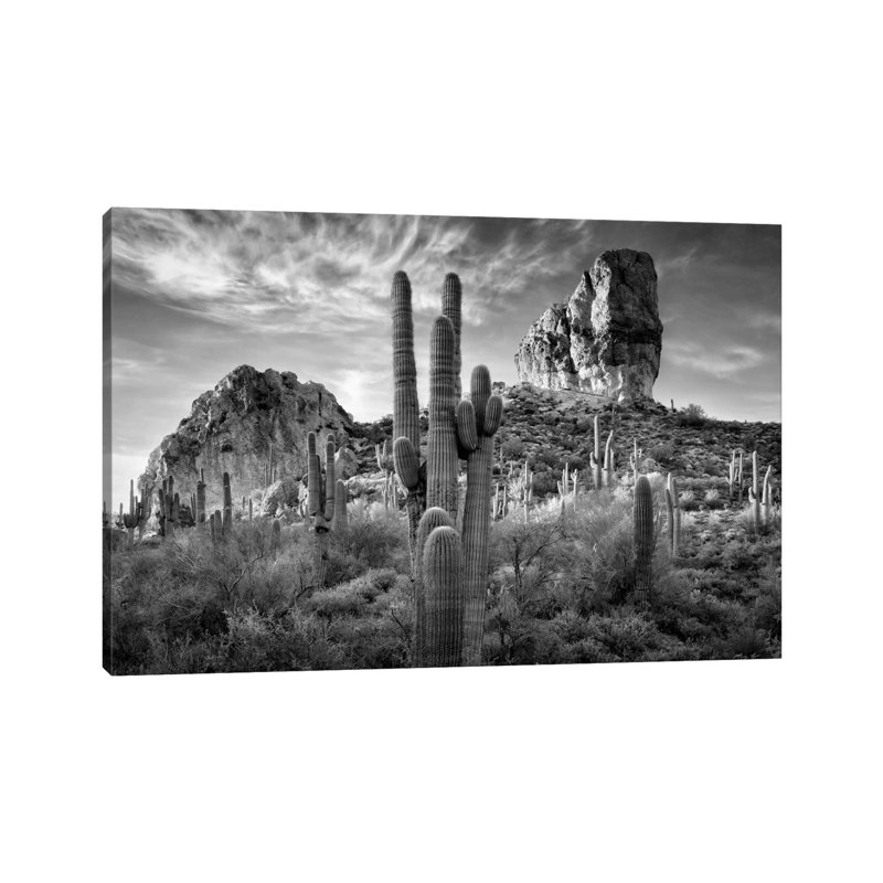 Desert View I by David Drost - Wrapped Canvas Print, 20.32 cm H x 30.48 cm W