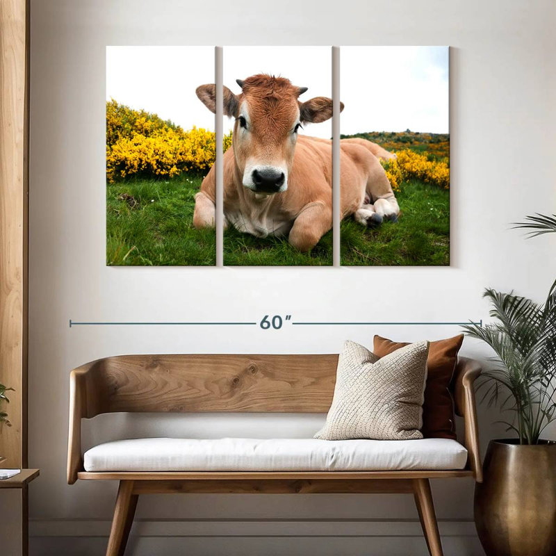 Brampt adorable vache Aubrac, H 32 po x l 50 po