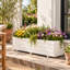 Boîte à fleurs d'extérieur en bois massif New Design-828508810-820949343