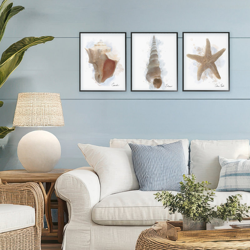 Ensemble de 3 giclées encadrées Honeybloom Coastal Seashells, par Matthew Piotrowicz, H 14 po x l 11 po