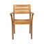 Ensemble de 2 chaises de salle à manger, fauteuil de patio en bois d'acacia, pour cour, bord de piscine, jardin-1173652420