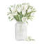 «Lark Manor ™ Jacobs, Cindy Gallery, art sur toile tendue: Tulipes au printemps-1043127490
