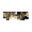 Amplified Gold On Black by Alex Wise - Wrapped Canvas Print-148901986