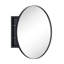Armoire à pharmacie avec miroir et 2 tablettes réglables Seenaa-1514975272-1502200620