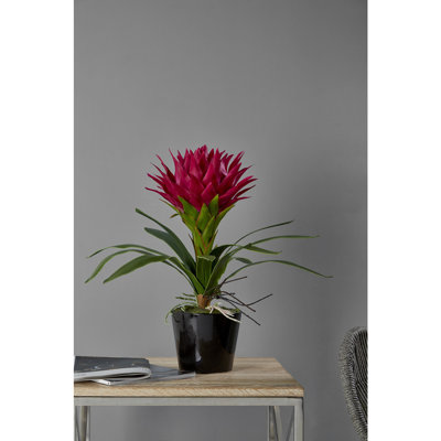 50 cm H Faux Plant in Ceramic Pot