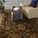 Morgan Hand-Tufted Wool Multi-Colored Area Rug