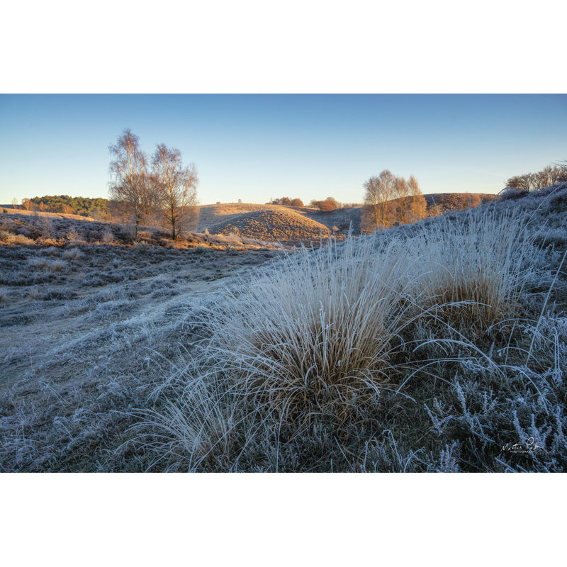 Froid comme la glace, H 12 po x l 18 po, Non, Toile tendue