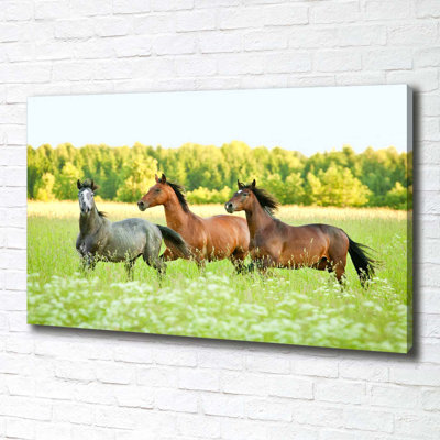 Horses In A Gallop - Wrapped Canvas Print