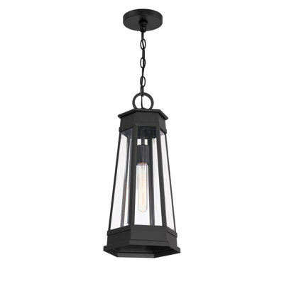 Oaklawn 1-Light Outdoor Hanging Lantern in Matte Black