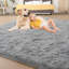 Braeley Solid Colour Shag Area Rug-257342430