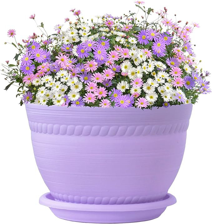 Teddrick Planter