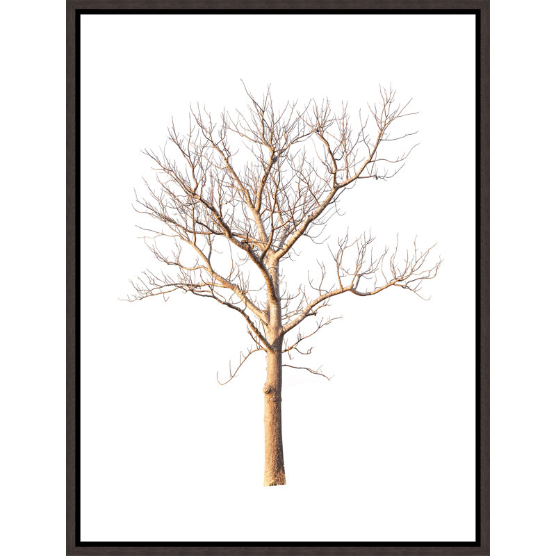 Thoughtful Times IV Print by Elle Youngstrom, 41.75" H x 31.75" W x 1.5" D, Glass Coat