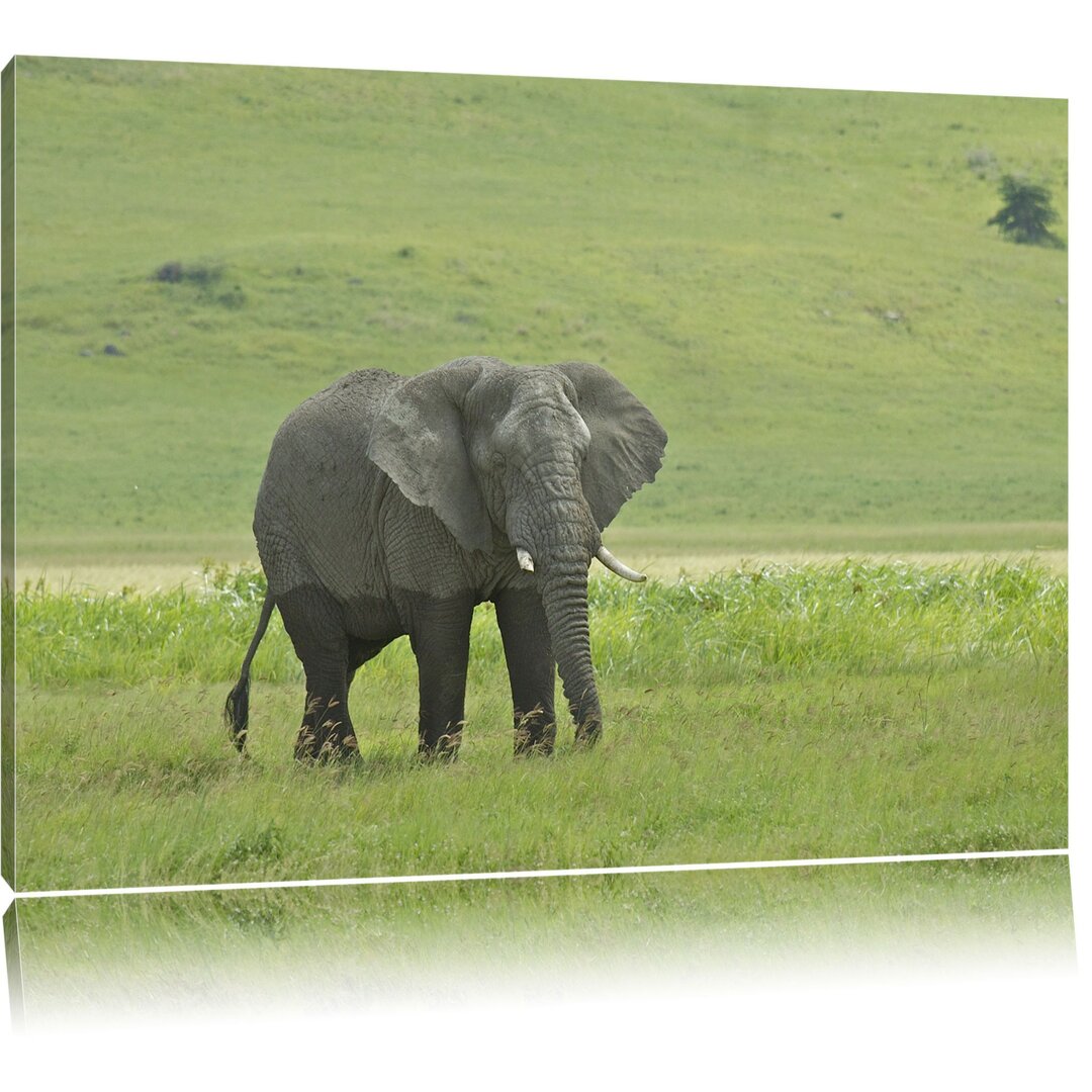 Leinwandbild Gigantischer Elefant im Gras