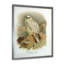 «Vintage Bird Life VII», peinture sur toile-59814556-59814563