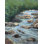Dina Gardner " Take Me To The River " by Dina Gardner