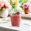 LAV Hestia Glass Tumblers - Pack of 6-128709771-118774973