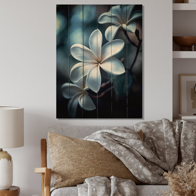 Fleurs de plumeria exotiques blanches et blanches sur bois