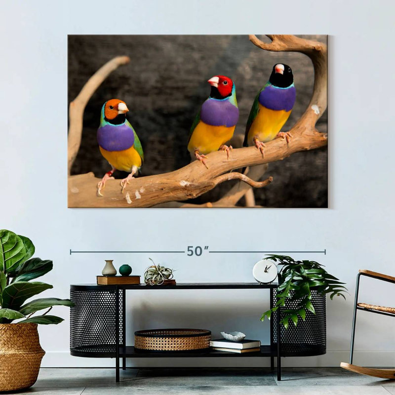 Rainbow Finches, 34" H x 51" W