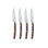 Costa Nova 4 Piece Stainless Steel (18/10) Steak Knife Set
