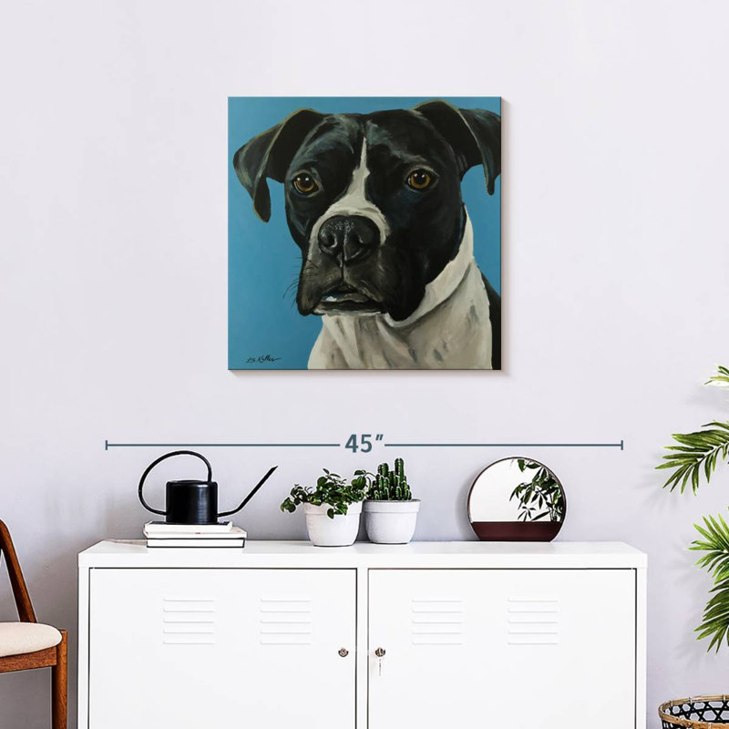 Brampt Boxer Black Boxer, 24" H x 24" W