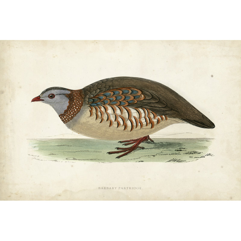 Morris Pheasants III by Morris - Wrapped Canvas Print, 30cm H x 46cm W