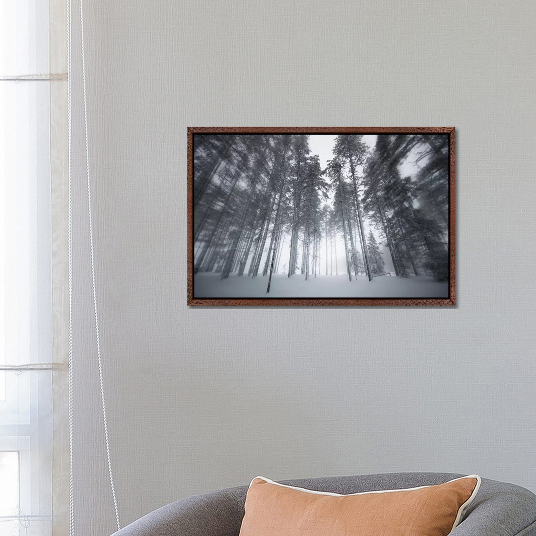 Winterlicht - Galerie-verpackte Leinwand Giclée