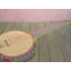 Banjo Print by Sue Graef-71199854-71199855