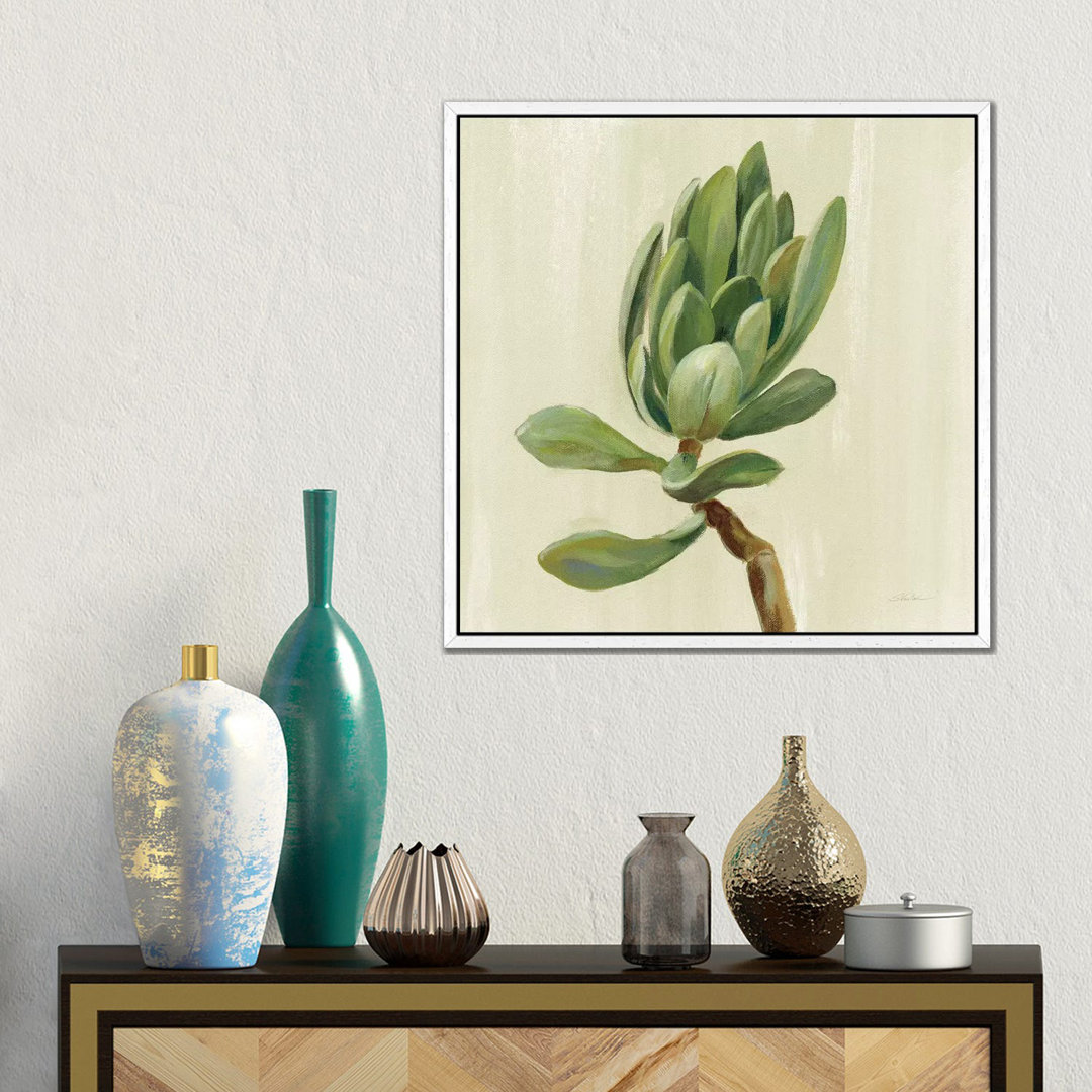 Front Yard Succulent III von Silvia Vassileva - Galerie-verpackte Leinwand Giclée auf Leinwand