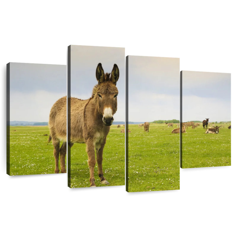 Brampt Donkey And Friends