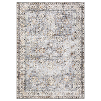 Washable Area Rug for Living Room