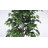 4' Artificial Ficus Bush, Black Plastic Pot