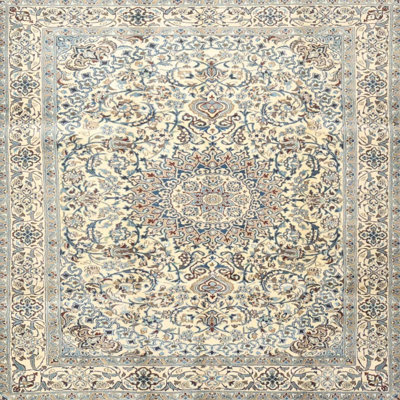 Oriental Indoor Rug