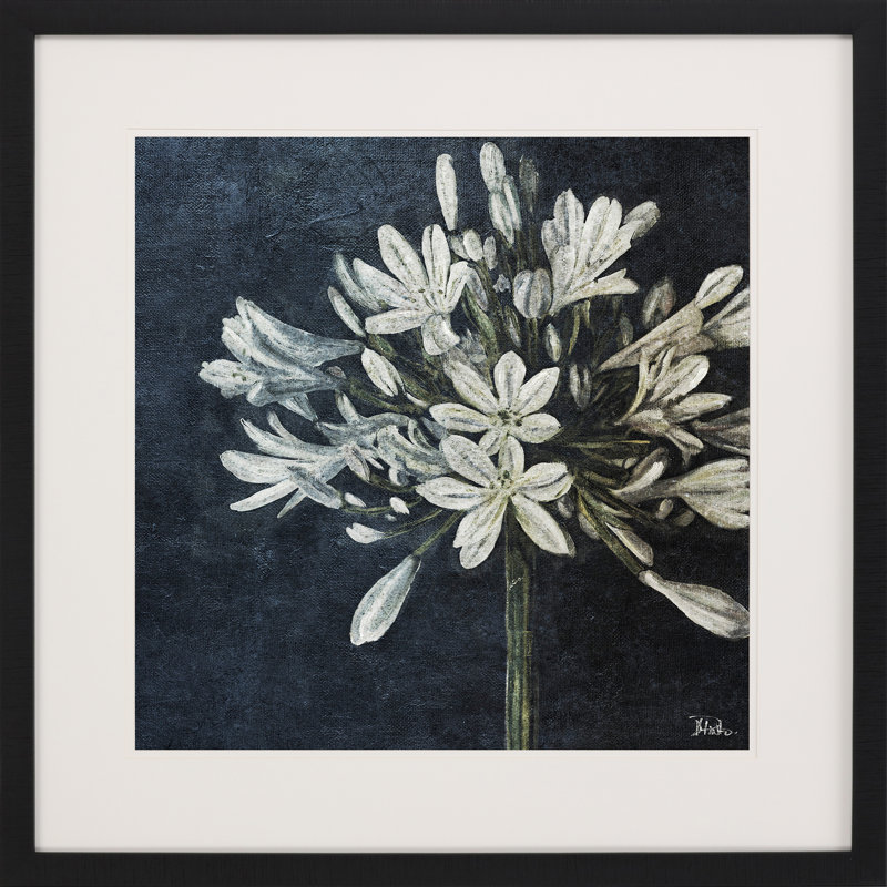 «Midnight Lilies I», impression murale encadrée noire